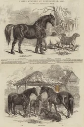 Prêmios concedidos em Northampton, 1847